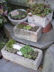 troughs