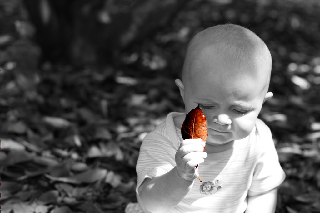 [IMG_2934-Leaf[4].jpg]