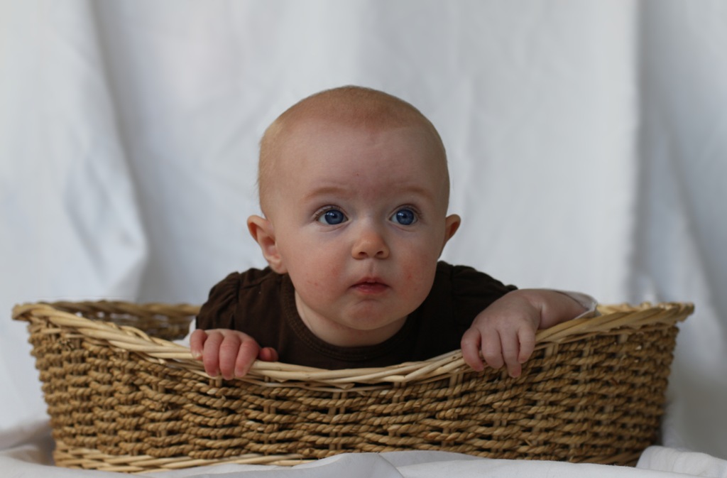 [IMG_4753 - crop[5].jpg]