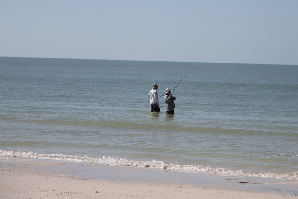 [IMG_8248[4].jpg]