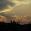 SH_Expo_0083.JPG