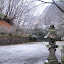 IMG_1981.JPG