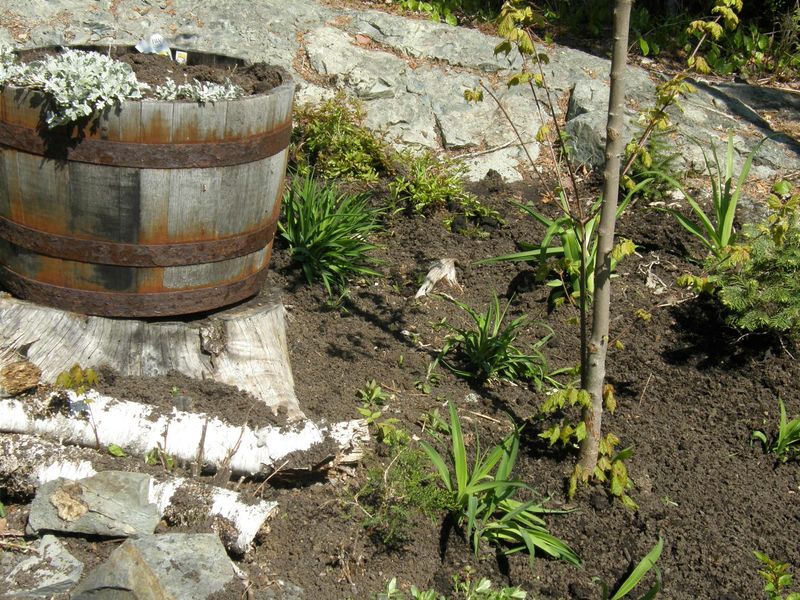 [compost+020.JPG]