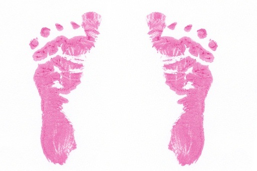 [pinkfootprints[5].jpg]