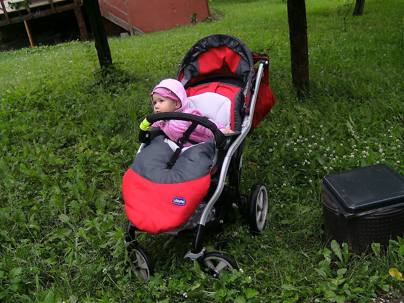 Paveikslėlis