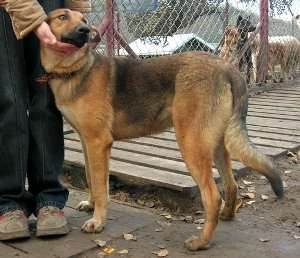 birma