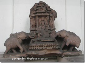 IMG_5195 IMG_5195
