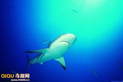 [110119145644223[2].jpg]