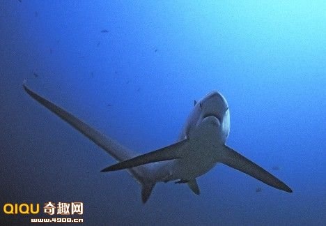 [110119145644225[2].jpg]