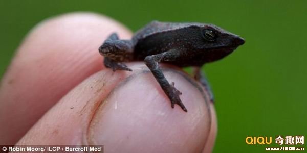 [101202224658411[5].jpg]