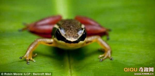 [101202224658412[2].jpg]