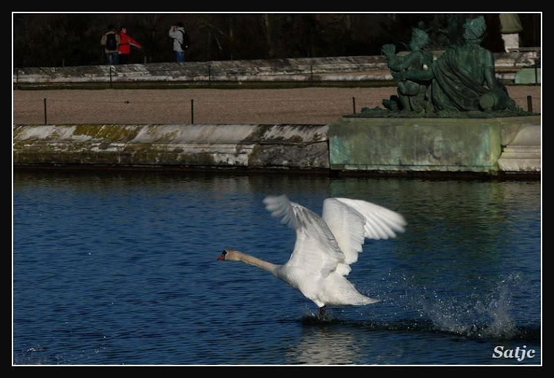 Commentaires des photos du Best of the Best 2008 002