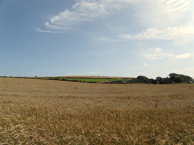 [P80504521.jpg]