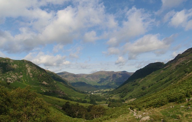 [P8080009[5].jpg]
