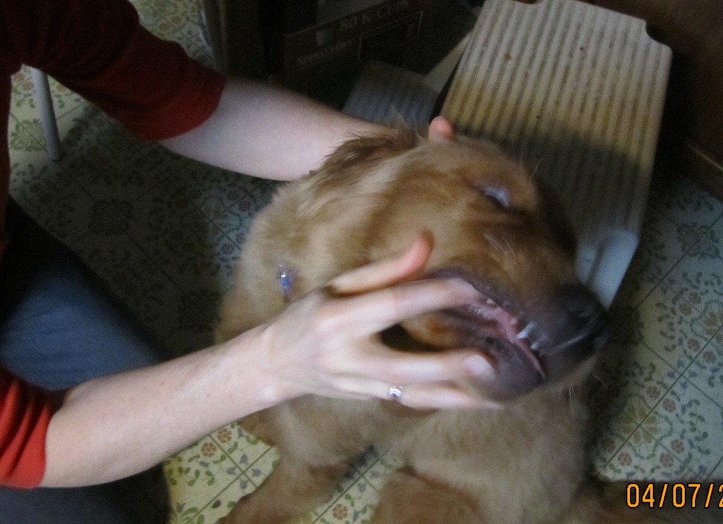 [brushing my teeth 003[5].jpg]