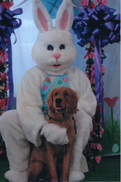[Easter-Bunny-photo4.jpg]