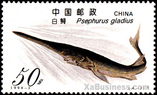 [paddlefish20stamp4.jpg]