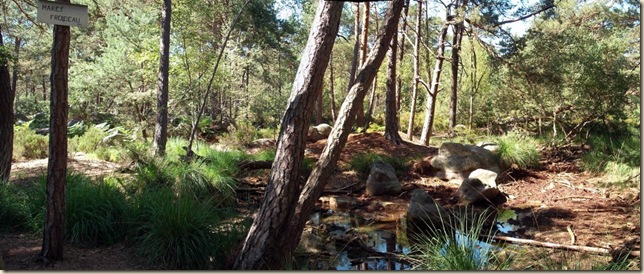 mares Froideau Panorama2 (1024x432) mares Froideau Panorama2 (1024x432)