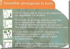 ensemble-protégeons_la_forêt ensemble-protégeons_la_forêt