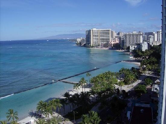 [waikiki-beach-from-resort[3].jpg]