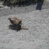 IMG_0422.JPG