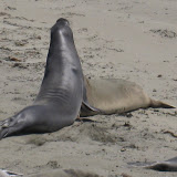 IMG_0435.JPG