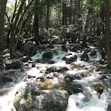 IMG_0355.JPG