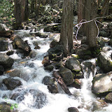 IMG_0361.JPG