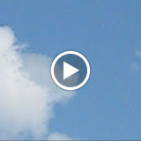 MVI_0490.AVI