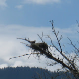 IMG_0494.JPG