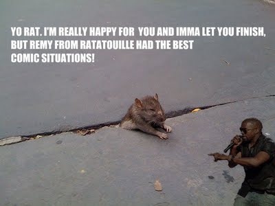 [rat 1[3].jpg]