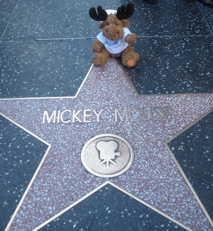 [Moosey-Moose-and-Mickey-Mouse-Star12.jpg]