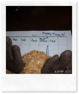 Moosey-Moose Checks Sleepy Bear Calendar