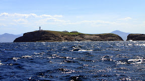 South Solitary Island