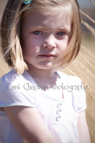 [BLOGJul272009_0041[4].jpg]