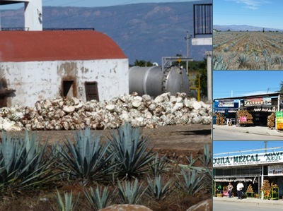 Ver RUTA DEL TEQUILA
