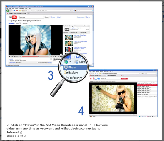 [2Ant Video Downloader with embedded FLV Player -- Add-ons for Firefox[4].png]