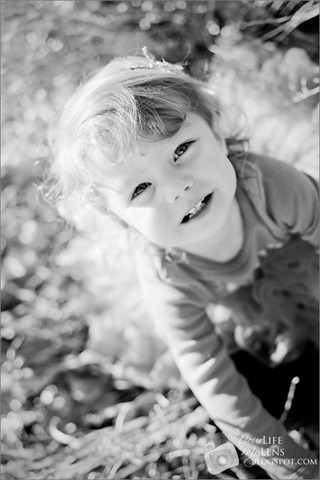 [IMG_4229-copy-2[2].jpg]