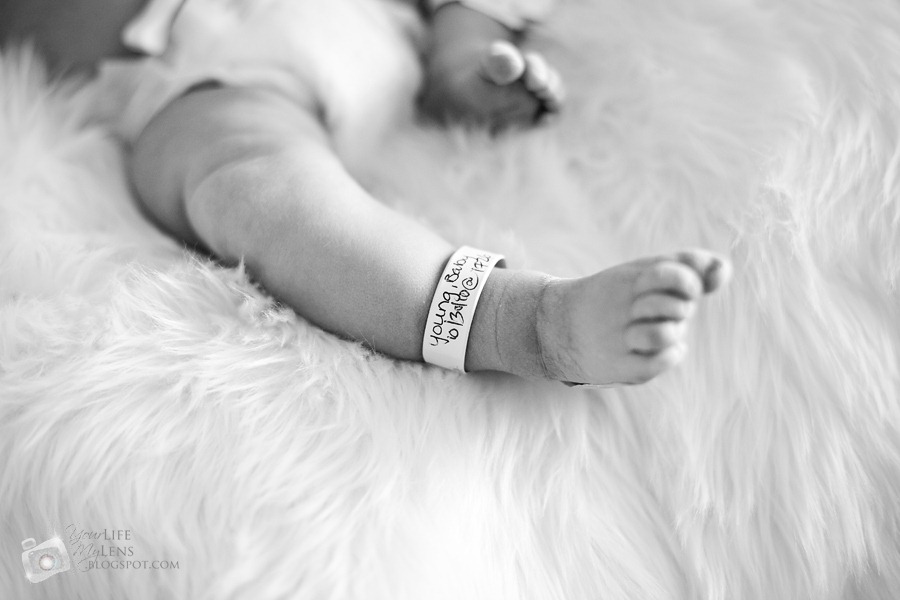 [IMG_2688-2[1].jpg]