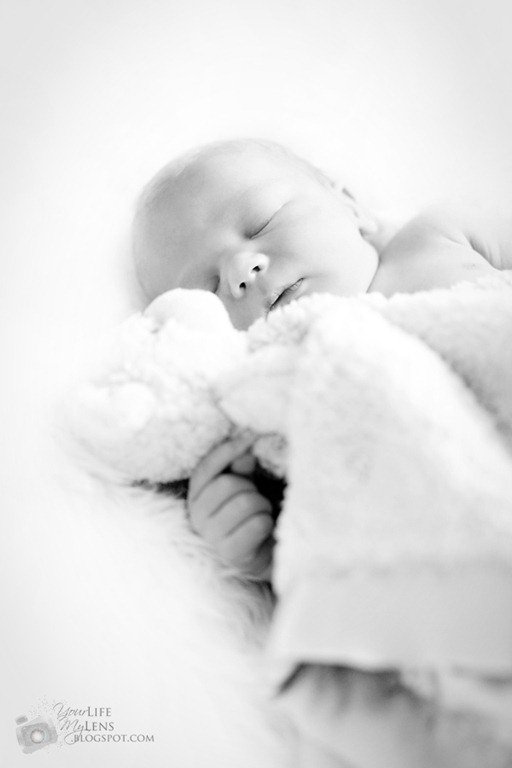 [IMG_2735bw[5].jpg]
