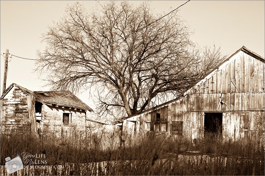 [IMG_7718-3[4].jpg]