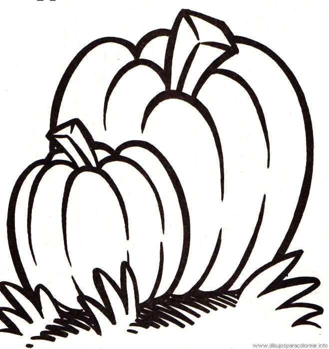 [calabazas[2].jpg]