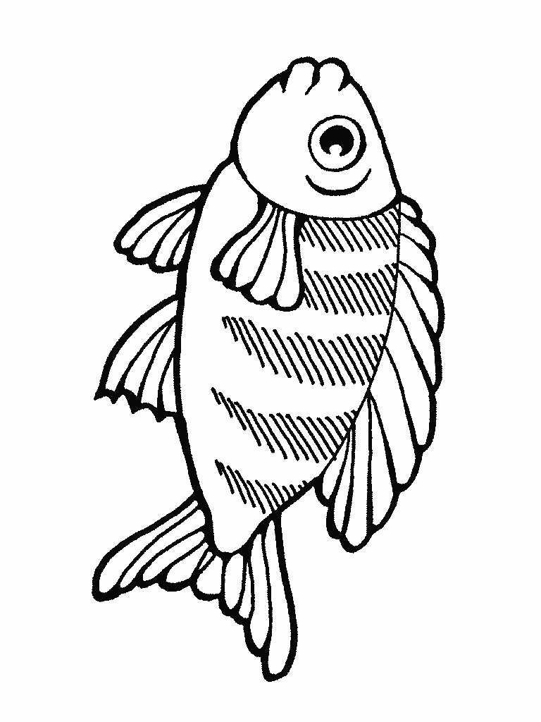 [pescado[2].gif]