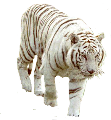 [e8820f14[2].png]