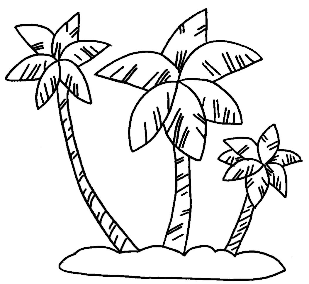 [palmeras[2].jpg]