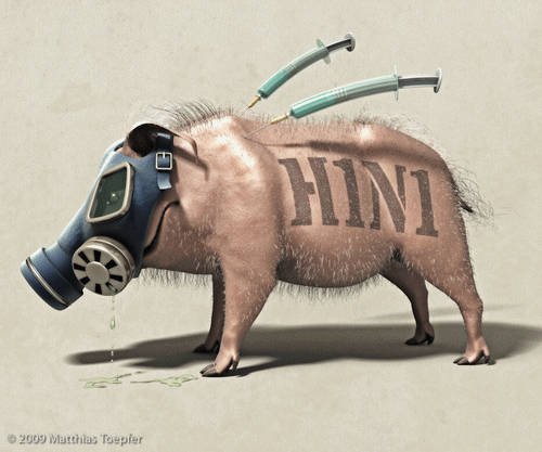 cerdito gripe