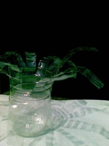 [Image112-225x300[2].jpg]