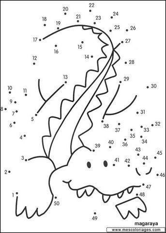 [cocodrilo 8[2].jpg]