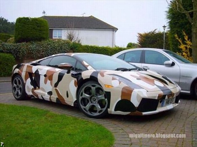 [gallinero - camouflage_cars_11[3].jpg]