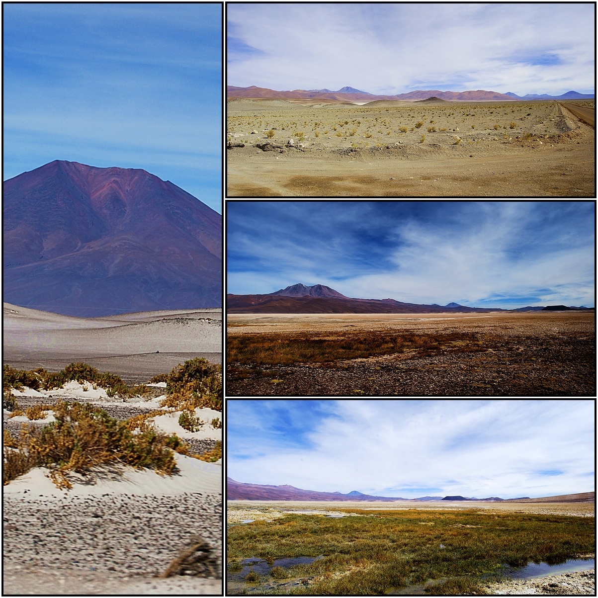 [altiplano[7].jpg]